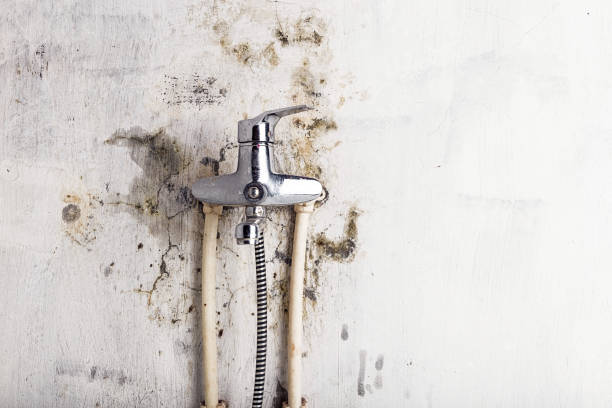 Best HVAC Mold Remediation in Lonaconing, MD