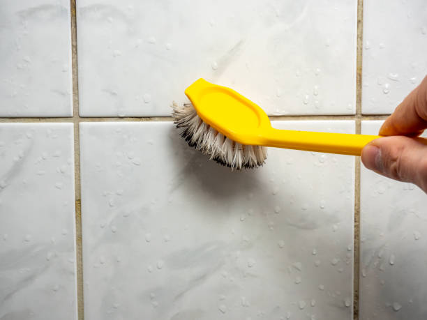 Best Residential Mold Remediation in Lonaconing, MD