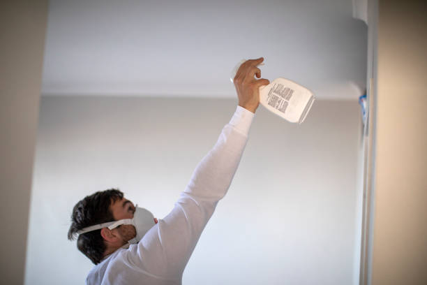 Best Attic Mold Remediation in Lonaconing, MD