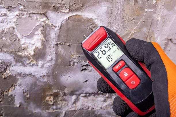Best DIY Mold Remediation Support Services in Lonaconing, MD