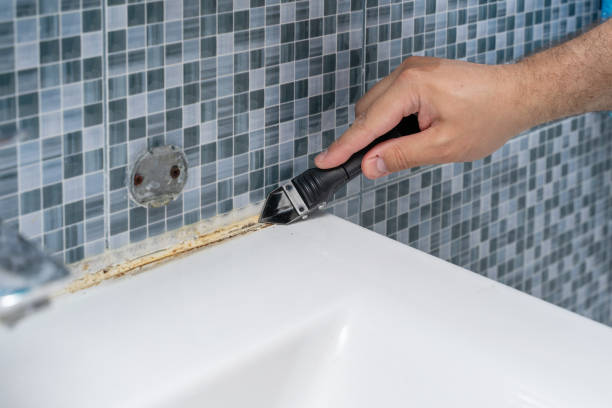 Best Kitchen Mold Remediation in Lonaconing, MD
